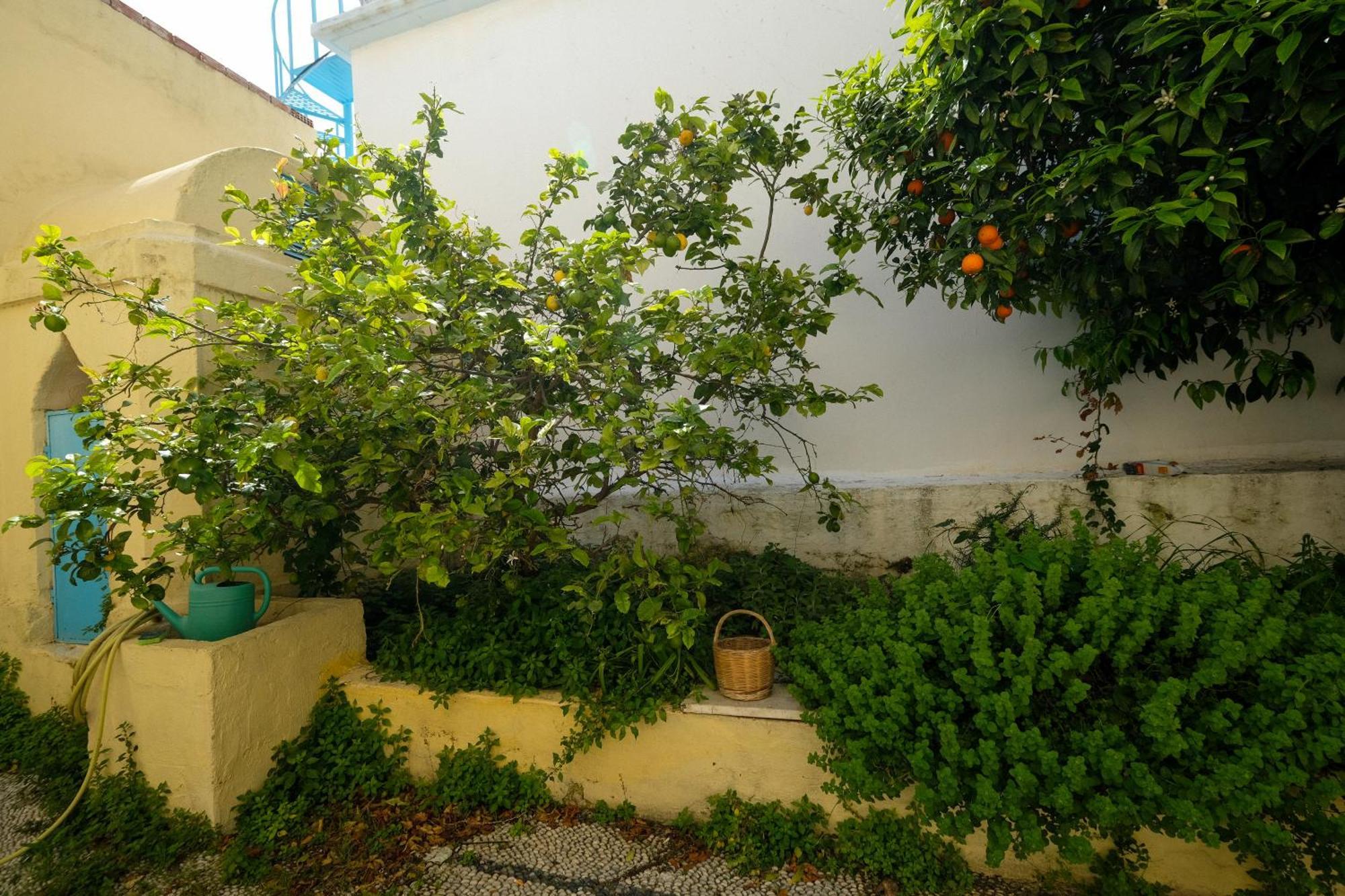 Archontiko Pataka Rhodes City Exterior foto